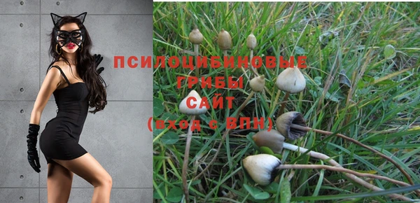экстази Новодвинск