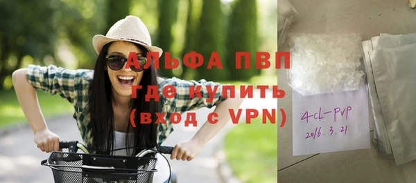 ПСИЛОЦИБИНОВЫЕ ГРИБЫ Новозыбков