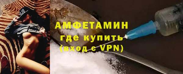 ПСИЛОЦИБИНОВЫЕ ГРИБЫ Новозыбков