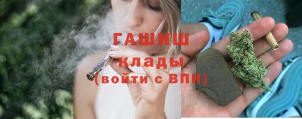ПСИЛОЦИБИНОВЫЕ ГРИБЫ Новозыбков