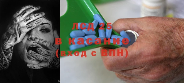 ПСИЛОЦИБИНОВЫЕ ГРИБЫ Новозыбков