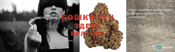 экстази Новодвинск