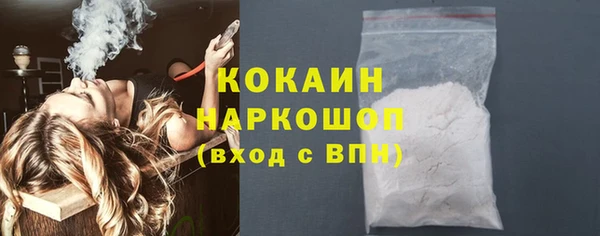 ПСИЛОЦИБИНОВЫЕ ГРИБЫ Новозыбков