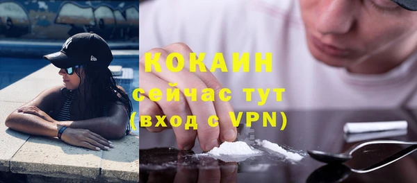 ПСИЛОЦИБИНОВЫЕ ГРИБЫ Новозыбков