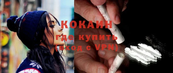 ПСИЛОЦИБИНОВЫЕ ГРИБЫ Новозыбков