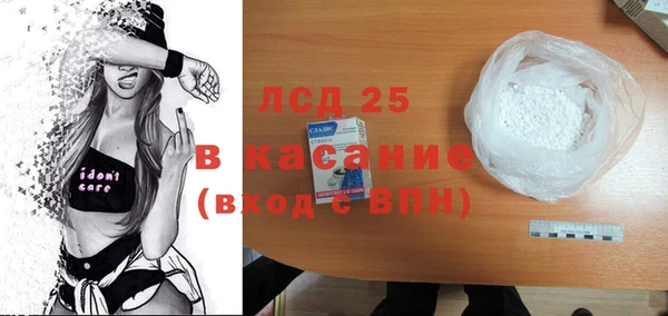 ПСИЛОЦИБИНОВЫЕ ГРИБЫ Новозыбков