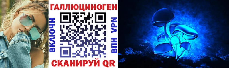Псилоцибиновые грибы Psilocybe  Купить  Старая Купавна 
