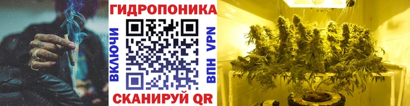 Конопля AK-47 Старая Купавна